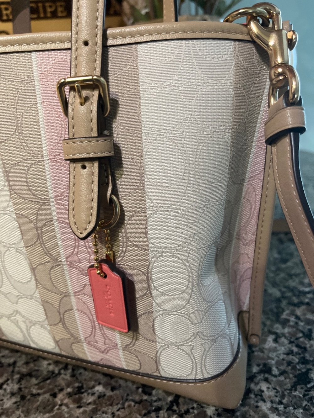 Coach Mollie 25 Signature Tote - Picture 2 of 8